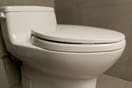 Save on Any Main Sewer Stoppage Toilet